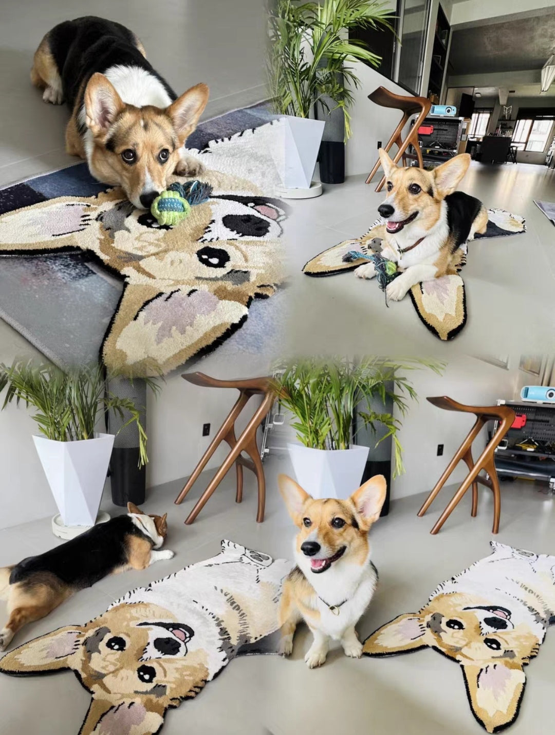 🔥 Custom Pet Portrait Rug - Hand-Tufted from Your Photo! (Acrylic/Wool/Nylon)